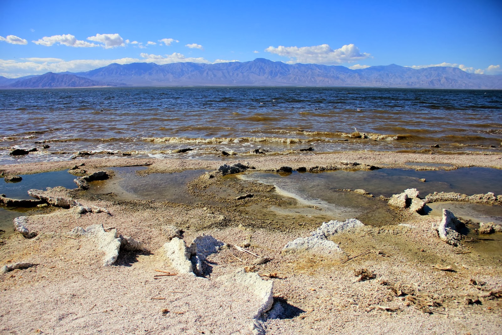 The vanishing Salton Sea: 